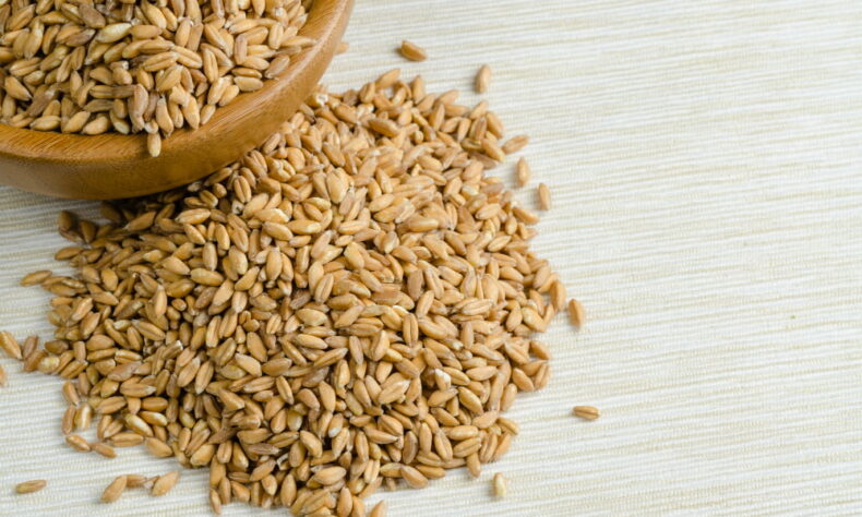 farro vs wheat berries