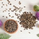 TOP 3 POWERFUL MILK THISTLE BENEFITS