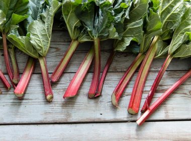 3 Delicious Ways To Cook Rhubarb
