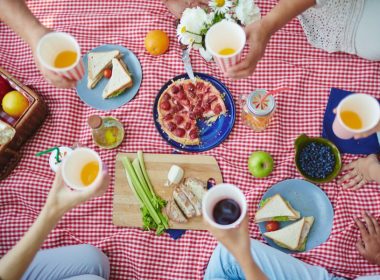 Insect Free Picnic