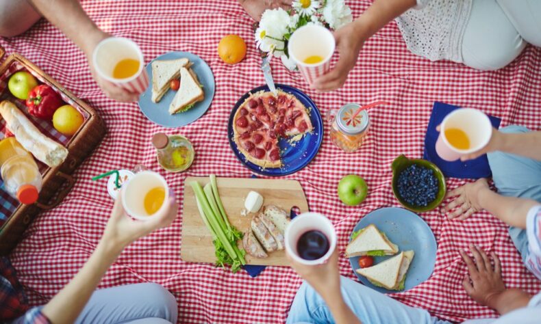 Insect Free Picnic