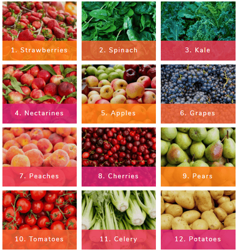 The Dirty Dozen and The Clean Fifteen: What You Need to Know - SPUD.ca