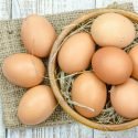 ORGANIC, FREE-RANGE, AND FREE-RUN: WHAT EGG CERTIFICATIONS REALLY MEAN