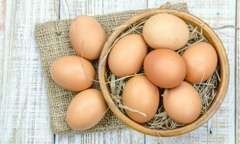 organic eggs certifications