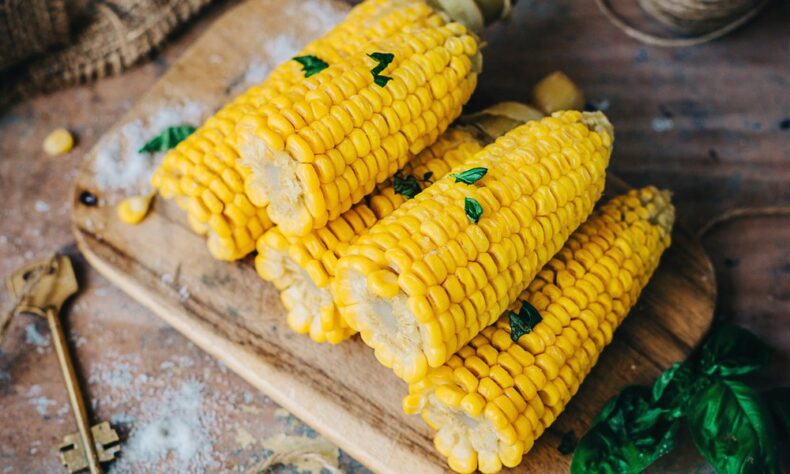 pickled corn on the cob