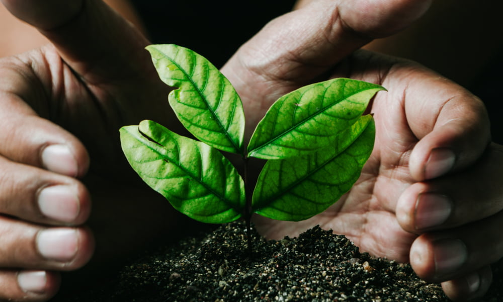 DO ENVIRONMENTAL CONCERNS IMPACT YOUR FOOD CHOICES?