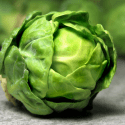 WHY IS Spud SELLING NON-ORGANIC BRUSSELS SPROUTS?