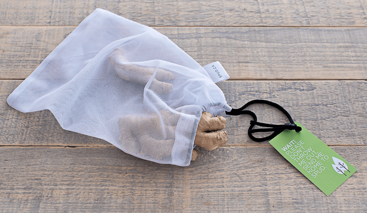 ELIMINATING PLASTIC BAGS: NEXT STEPS