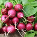 ROASTED RADISHES WILL MAKE YOU LOVE RADISHES