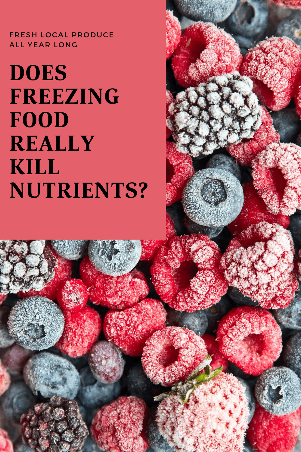 Does Freezing Food Really Kill Nutrients_