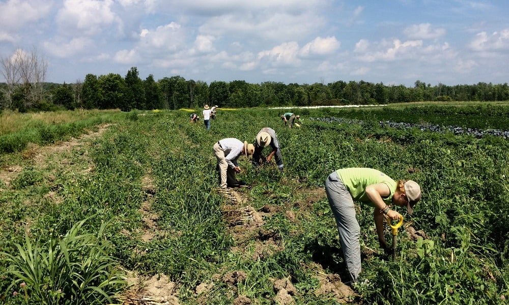 LEARN HOW YOUR GROCERY HABITS IMPACT FOOD SECURITY