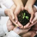 ​A Startup’s Triple Bottom Line To Social Responsibility