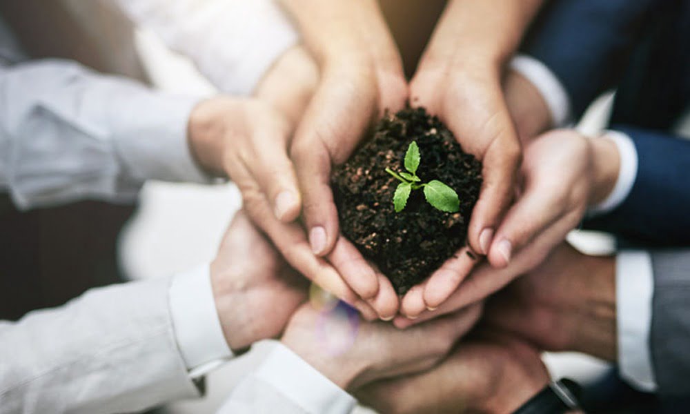 A Startup’s Triple Bottom Line To Social Responsibility