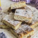 Fresh Sunflower Lavender Squares