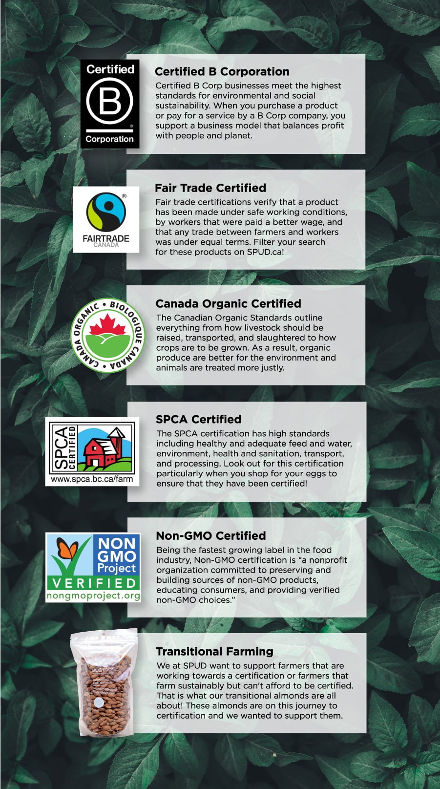 food certifications