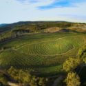 COME TO A FREE SCREENING OF THE BIGGEST LITTLE FARM IN CALGARY!