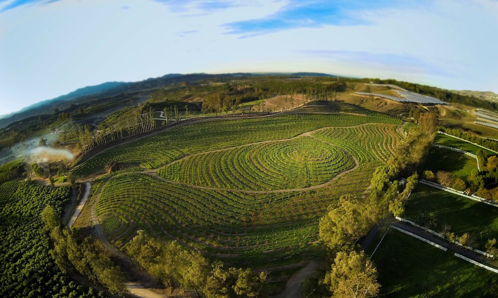 COME TO A FREE SCREENING OF THE BIGGEST LITTLE FARM IN VANCOUVER!