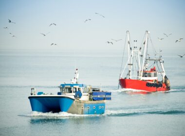 sustainable seafood spud