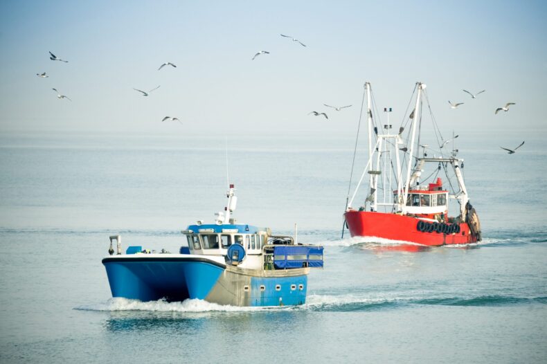 sustainable seafood spud