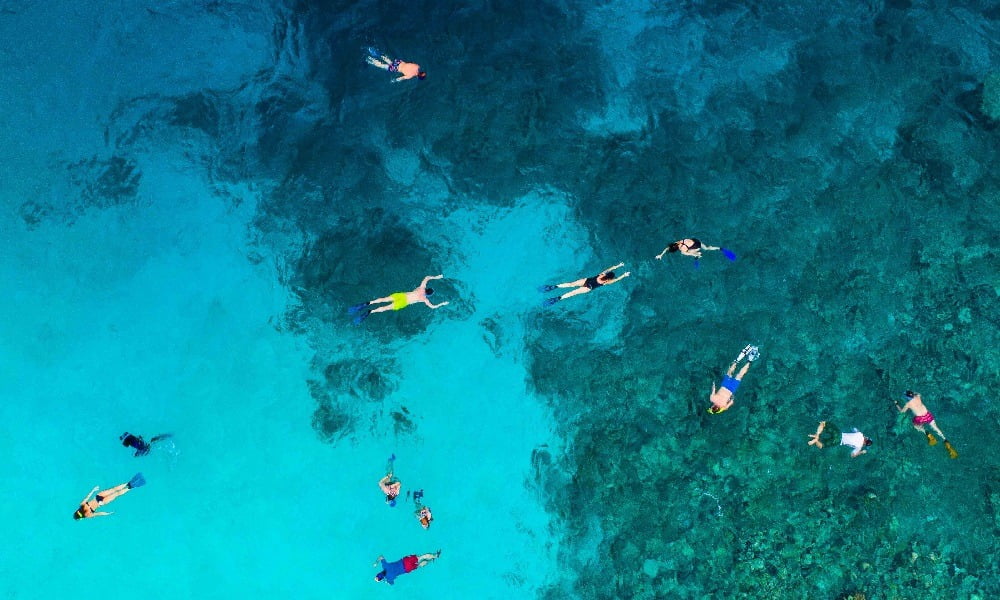 IS YOUR SUNSCREEN BAD FOR THE ENVIRONMENT?
