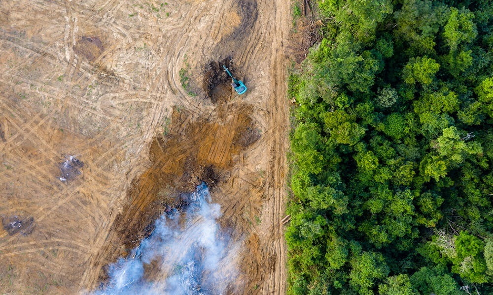 THE AMAZON RAINFOREST FIRES IS NOT A NATURAL DISASTER