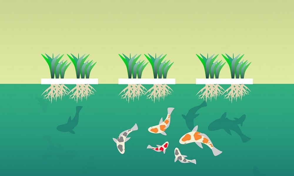 THESE FIVE AGRICULTURAL PRACTICES ARE DEFINING THE FUTURE OF FOOD