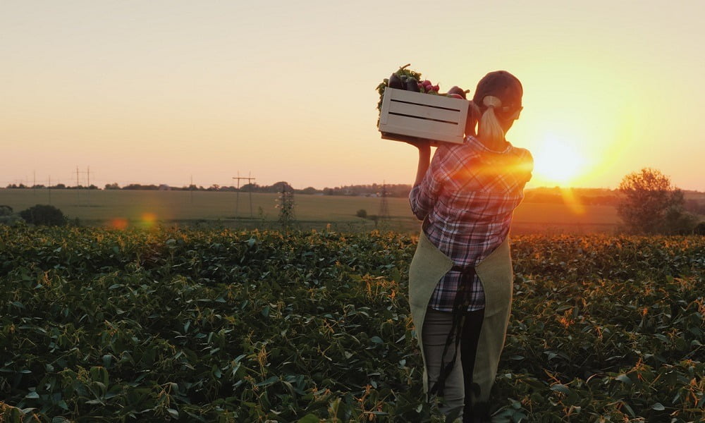 THE SLOW FOOD MOVEMENT IS GROWING QUICKLY