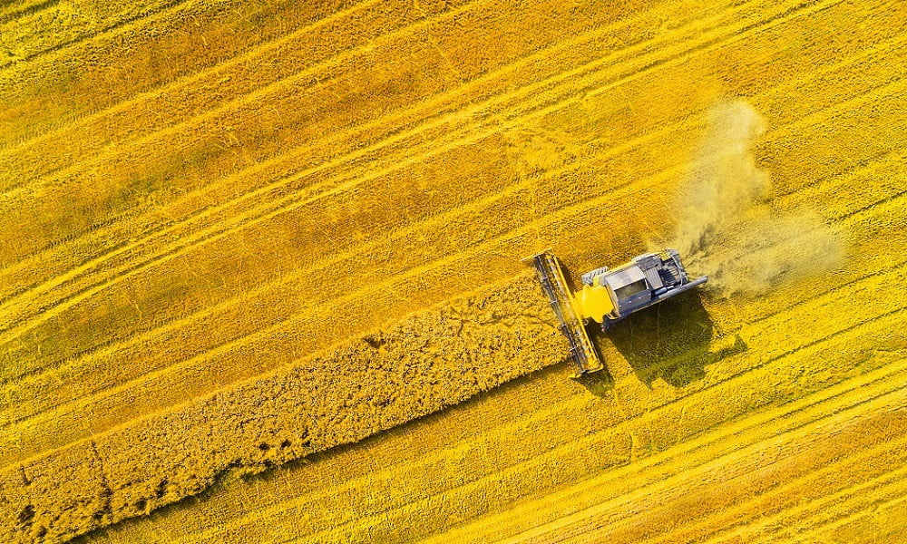 ABOUT HALF OF AGRICULTURE WORLDWIDE IS NOT PRODUCING FOOD