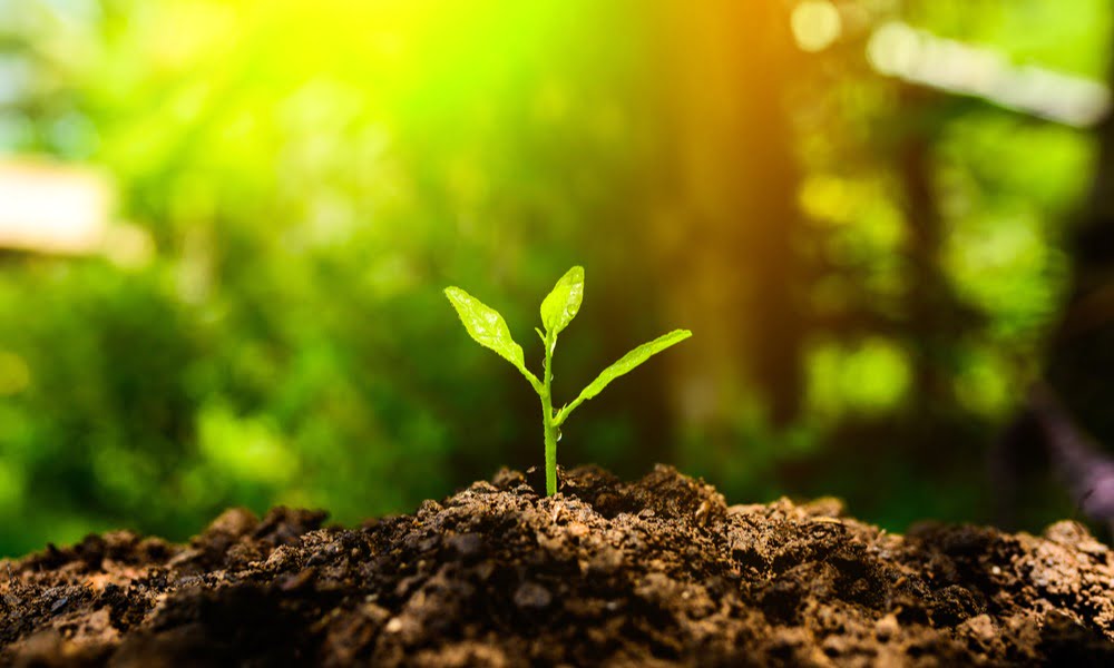 5 FOOD TRENDS TO LOOK FORWARD FOR IN 2020