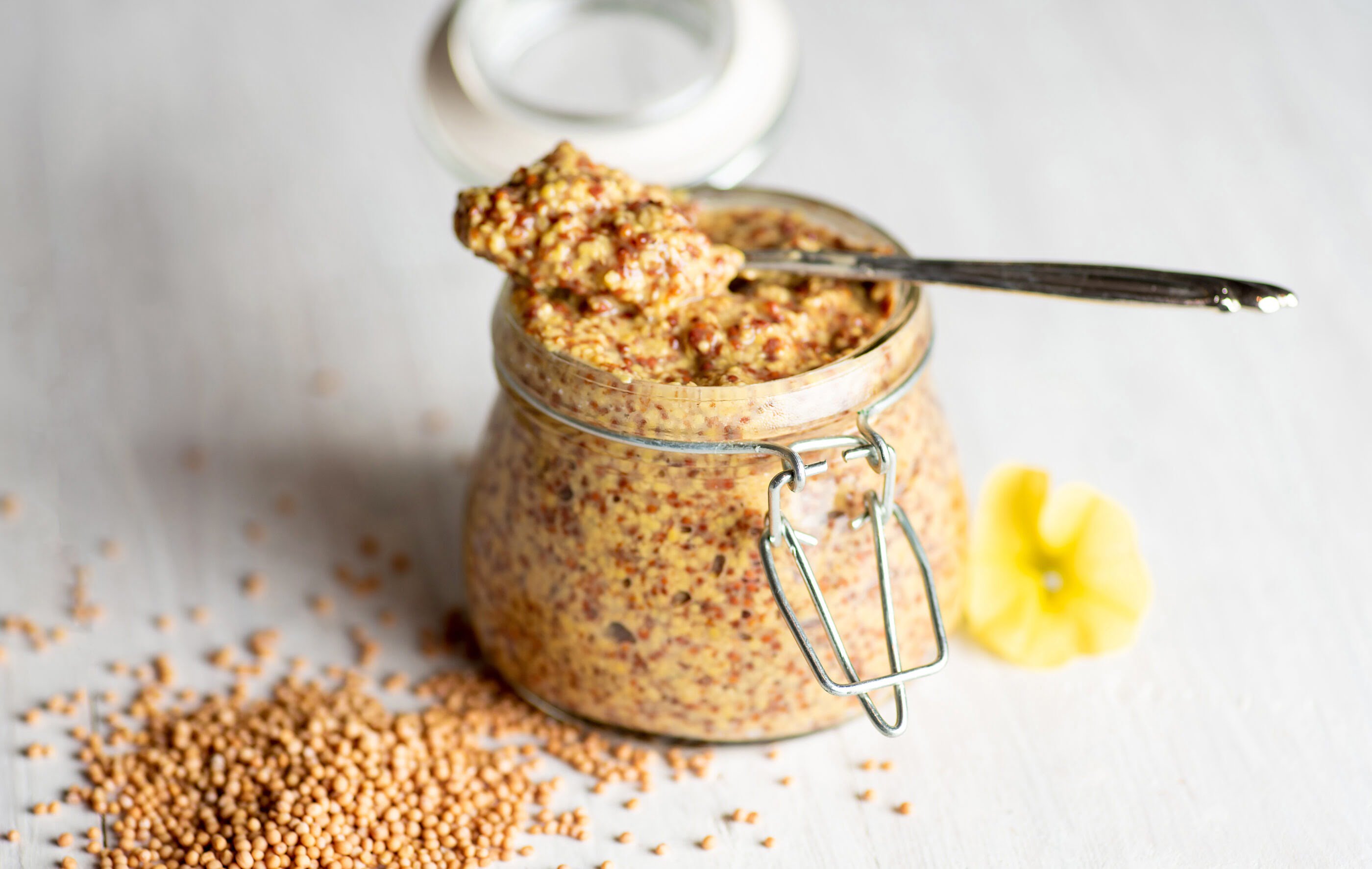 diy edible gift homemade mustard