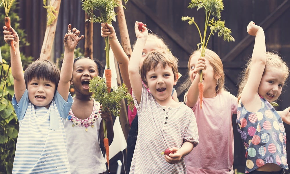 WHAT DOES THE FUTURE LOOK LIKE FOR ASPIRING FARMERS IN CANADA? WE ASKED SOME EXPERTS