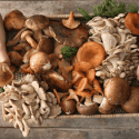 A QUICK GUIDE FOR COOKING MUSHROOMS