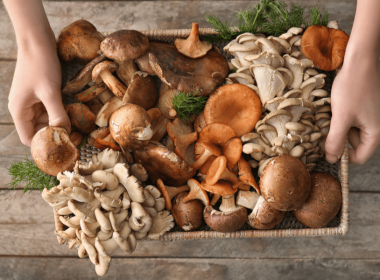 Different ways to cook mushrooms