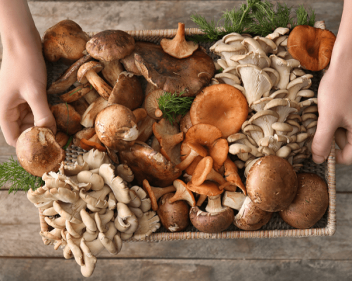 Different Ways To Cook Mushrooms