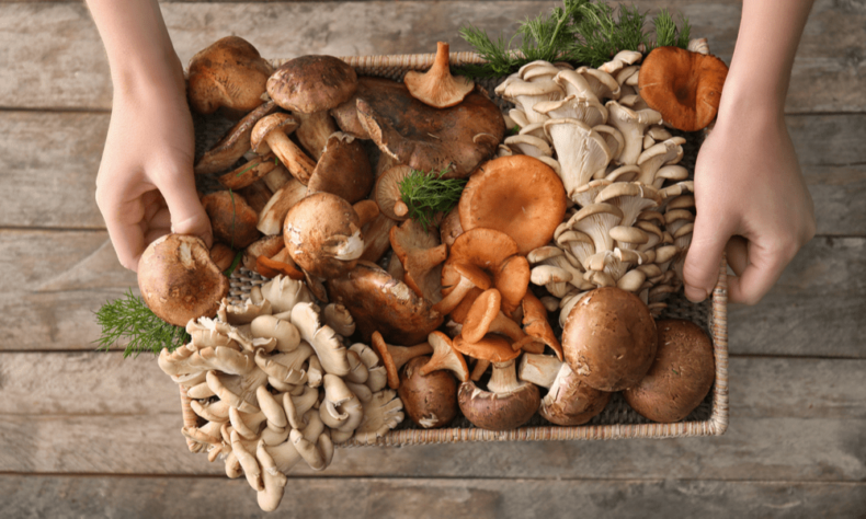 Different ways to cook mushrooms