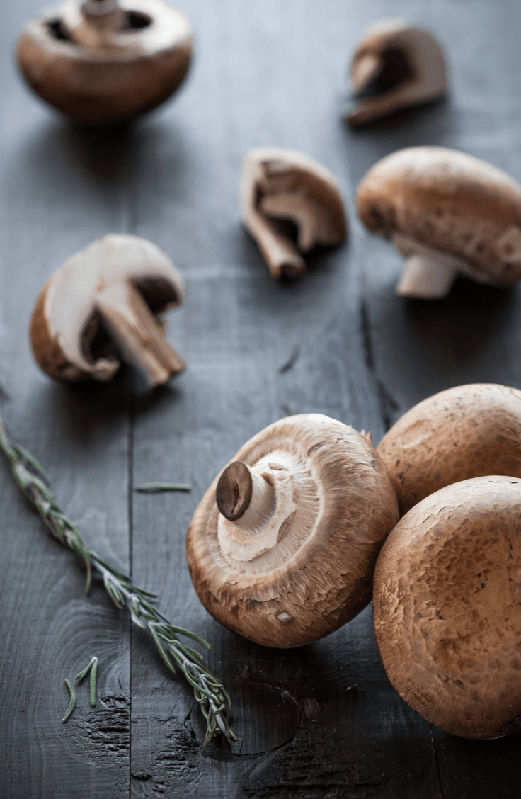 Different types of mushrooms