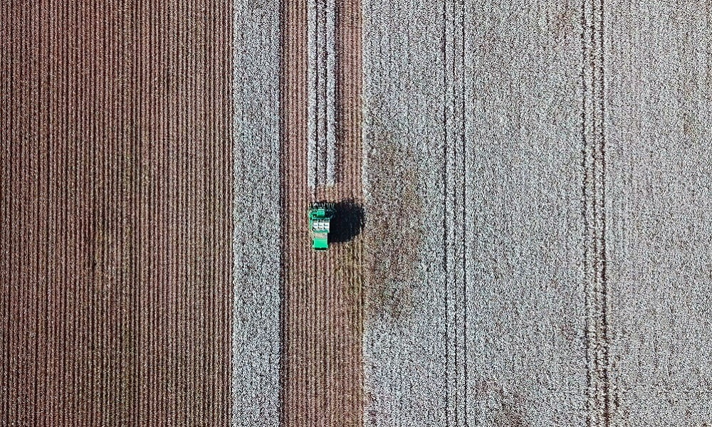 3 IMPORTANT LESSONS FROM THE HISTORY OF AGRICULTURE