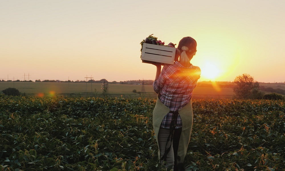 THIS MONTH, SPUD.CA IS TEAMING UP WITH YOUNG AGRARIANS TO SUPPORT WOMEN IN OUR FOOD SYSTEM