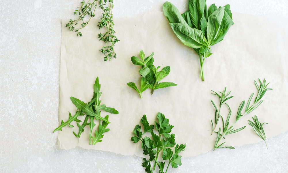 herb food storage