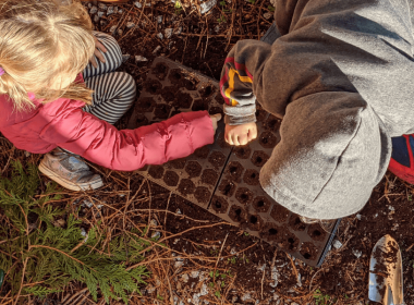 plants that are easy for kids to grow