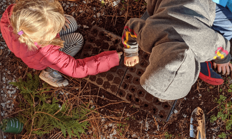 plants that are easy for kids to grow