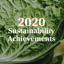 Our 2020 Sustainability Impact