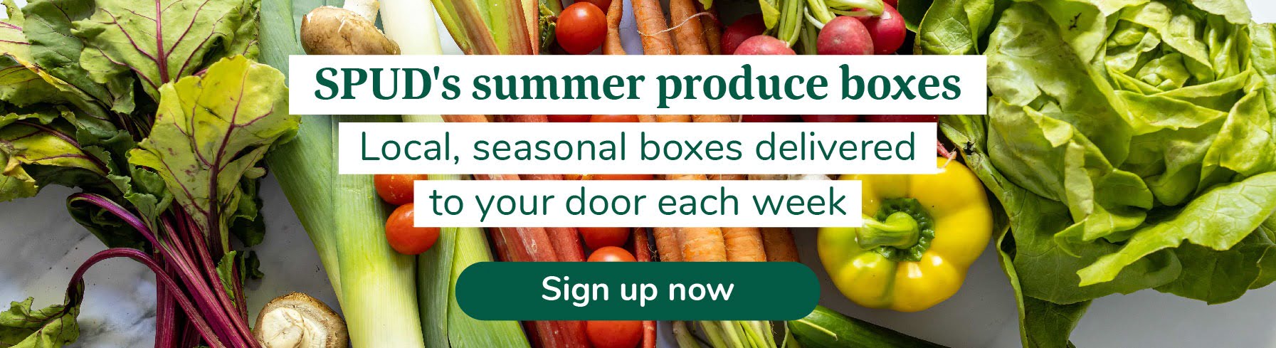 Summer produce boxes at SPUD