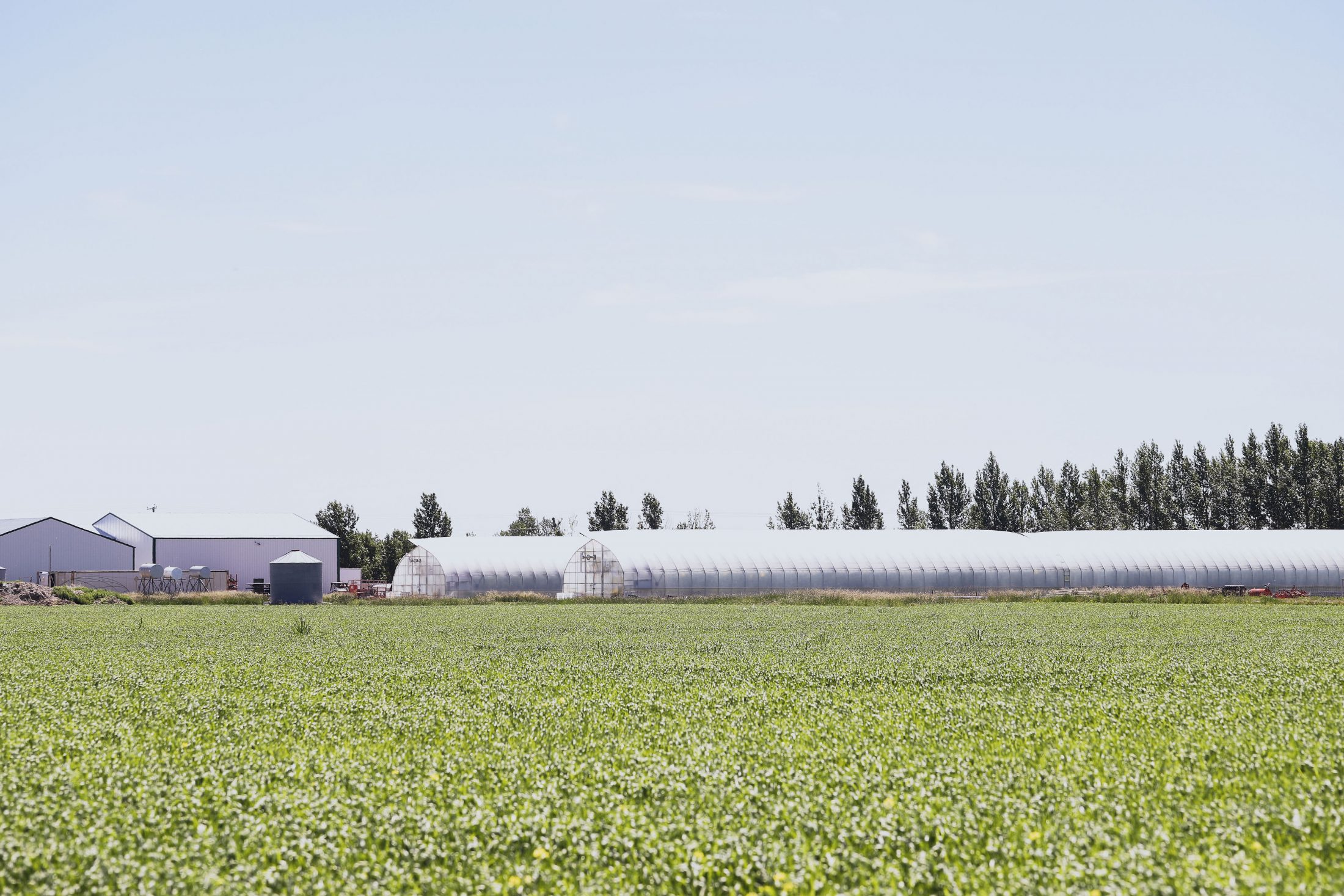 Organic farm in Alberta