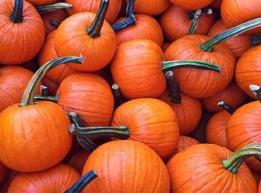 Sugar Pumpkins