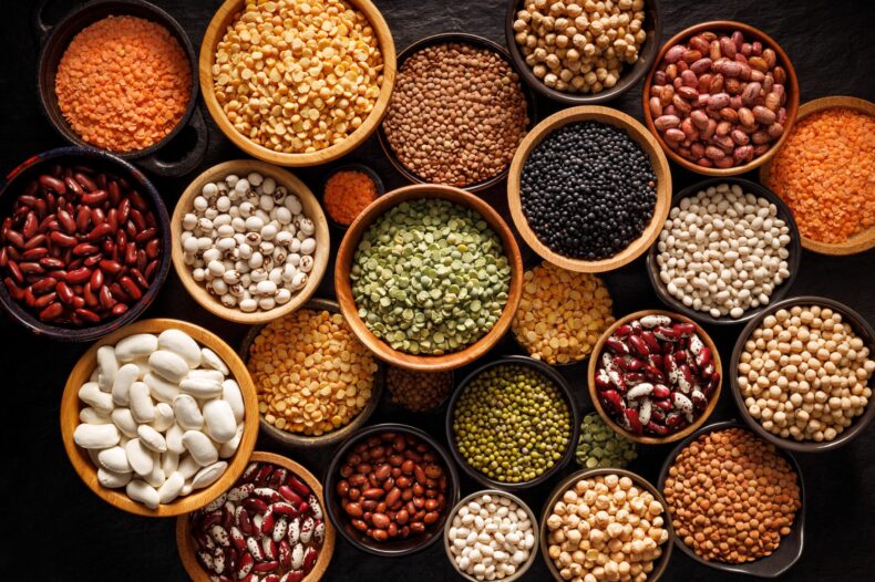 world pulses day