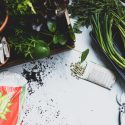 Gardening 101 – Home Gardening Tips From An Expert