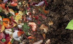 Composting Tips
