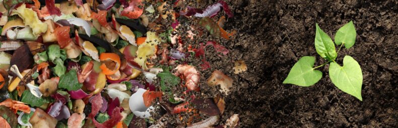 composting tips