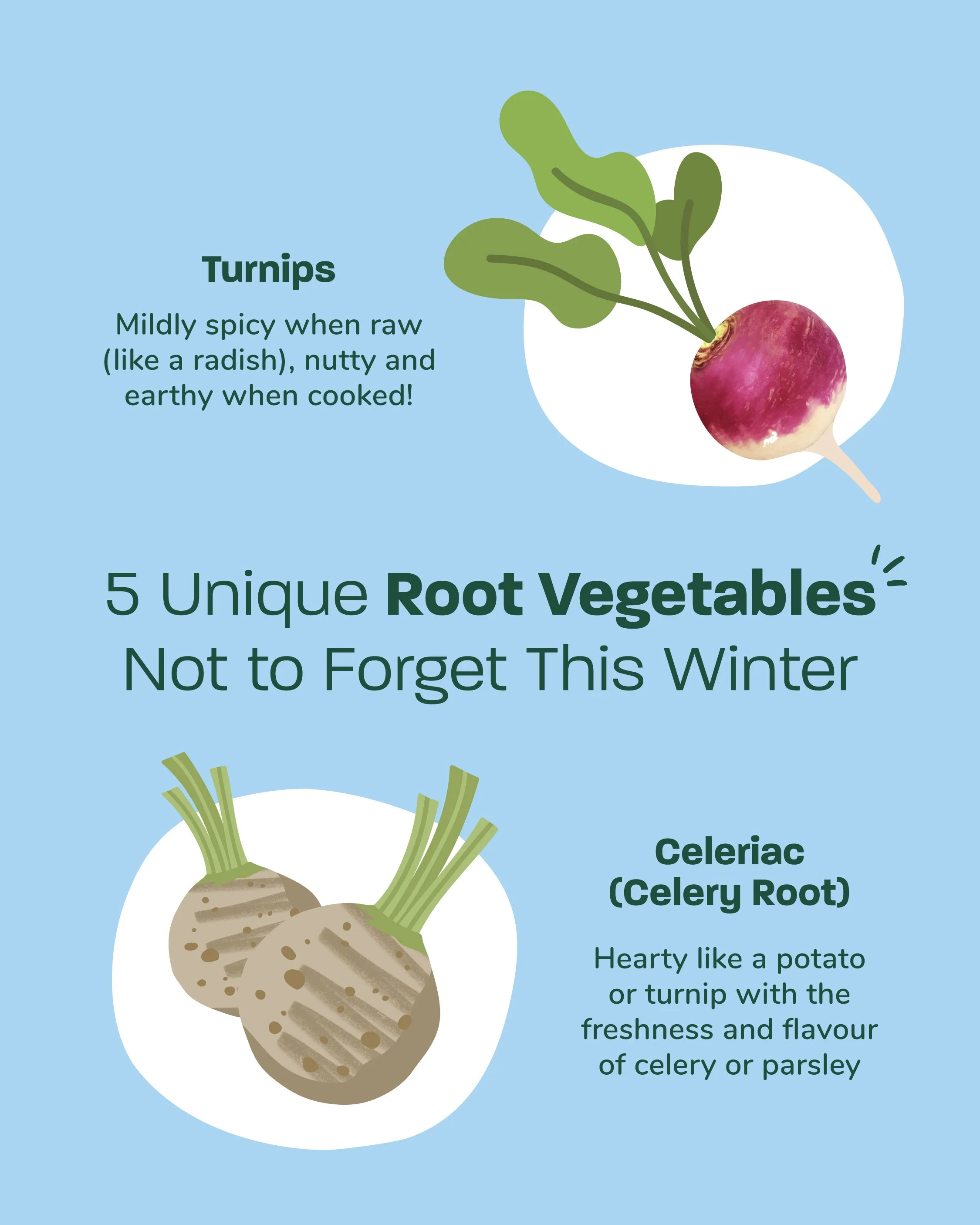 winter root vegetables